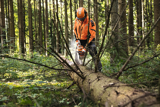 Starke Akkusge Stihl MSA 300
