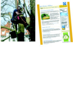 Gute Arbeit ist das eine (links, hier: Aufhängen von Schwegler-Nisthilfen). Das andere ist die Präsenz – auch online (rechts). Sabine Bieg hat eine aktuelle Webseite entwickelt, in die rechts die Wochenmotive (Beispiele siehe S. 28) eingespiegelt werden.