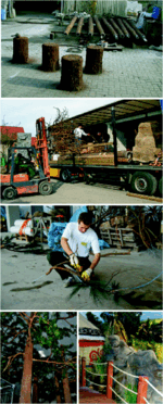 Aufwendige Baustelle: Kiefernstämme und Sitzhocker auf dem Werksgelände, Befüllen des Lkws in Franken, Zusammenbau der Bäume auf dem Expo-Gelände und fertiger Stand in Zaragoza