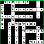 Lösung aus dem Juli-Heft