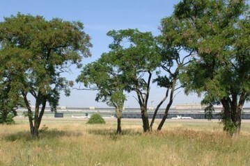 Nrdlich der Start- und Landebahnen soll ein Landschaftspark mit zahlreichen Grten, Erlebnisbereichen und grtnerischen Sonderschauen entstehen