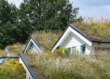 Neue BGL-Fachbroschre aus dem Ausschuss Landschaftsgrtnerische Fachgebiete: Grne Dcher und Fassaden: Wir machen das!