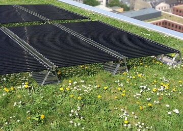ZinCo hat mit der TubeSolar AG (dem Hersteller innovativer, rhrenfrmiger Solarmodule) eine exklusive Zusammenarbeit beschlossen, die vllig neue Mglichkeiten erschliet, Grn und Solar auf Dchern zu kombinieren. 