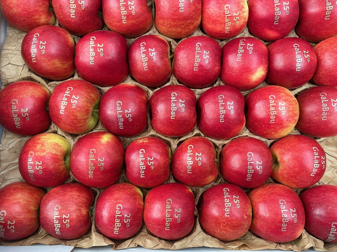 Vitamine gibt"s an jedem Messeeingang!<br>