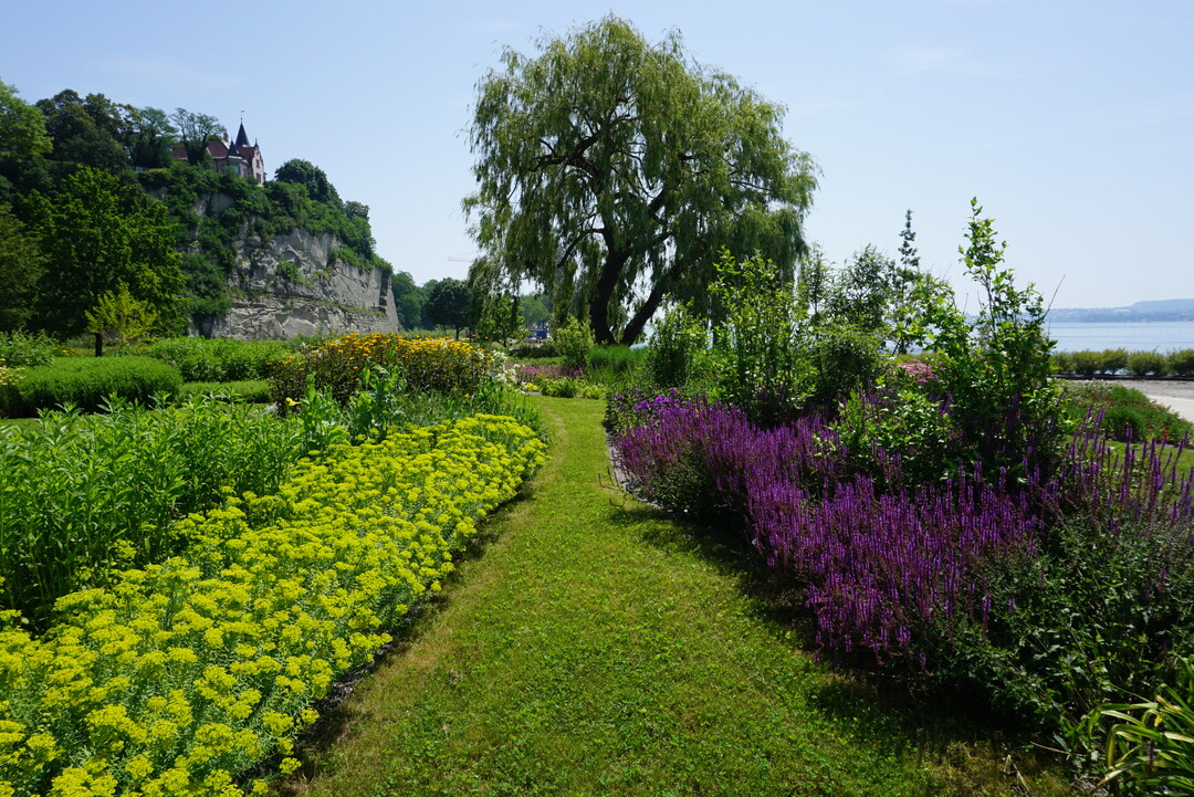 Bis zur Landesgartenschau 2021 wird die Staudenpracht am Uferpark Überlingen gut eingewachsen sein.