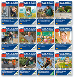 Das war 2015 in DEGA-Titelbildern!