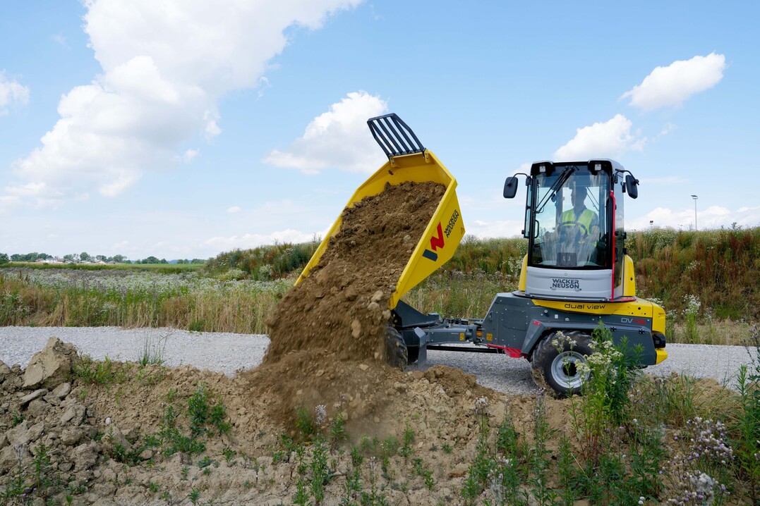 Dual View Dumper
