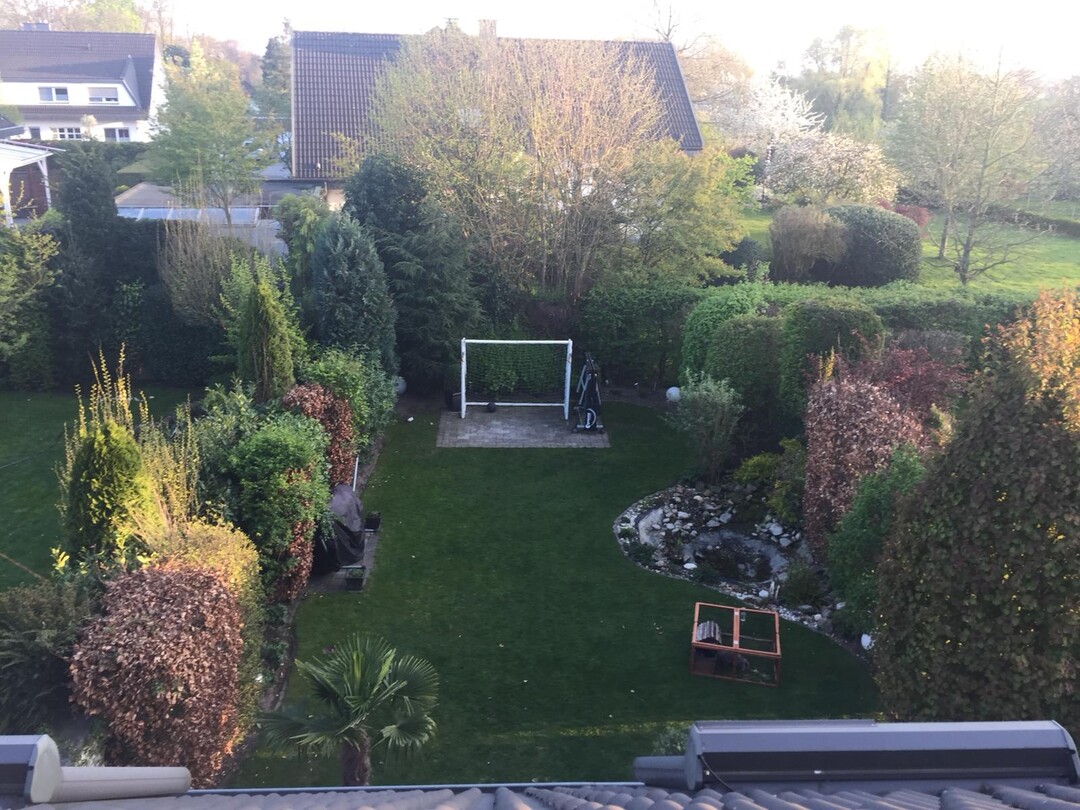 Das Grundstck des Siegergartens vor dem Umbau.